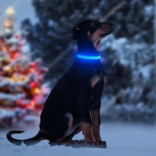 Vista 5 de Collar de perro con luz LED, recargable que brilla en la oscuridad, collar ajustable para perros pequeños (S, azul)