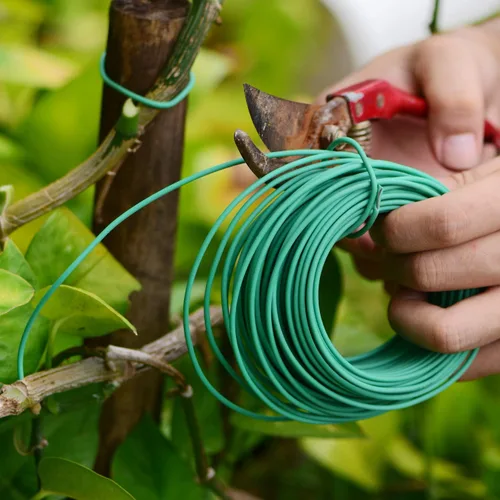 Vista 7 de YDSL Alambre Suave para Plantas de 66 Pies, Ataduras de Jardín Verdes con Giro para Plantas, Organización de Oficina y Hogar (Diámetro - 2.5MM)