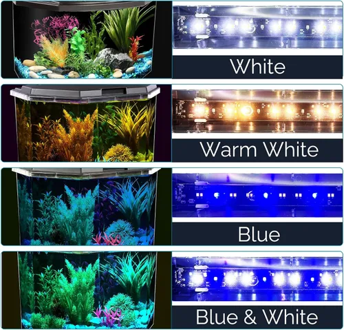 Vista 4 de KollerCraft, juego para acuario de 6.5 galones con filtro interior e iluminación LED