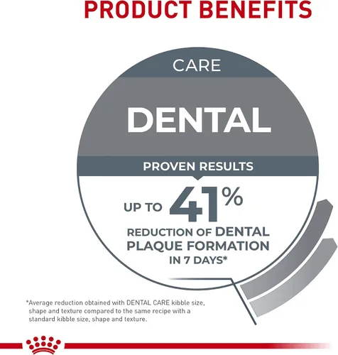 Vista 4 de Royal Canin Feline Care Nutrition Dental Care Alimento seco para gatos adultos, bolsa de 3 libras