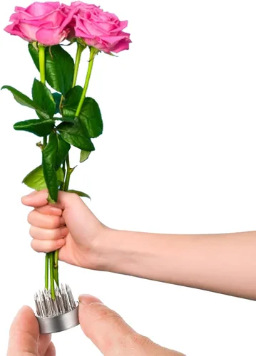 Vista 3 de WUWEOT Kenzan Ikebana - Paquete de 12 ranas de flores de 0.9 pulgadas, rana japonesa con pines, herramientas fijas florales plateadas, soporte