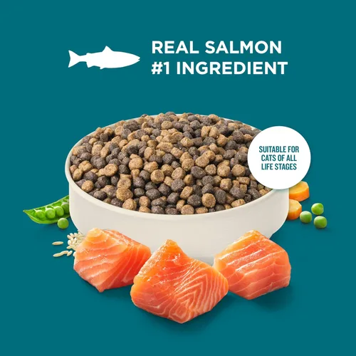 Vista 4 de Nutrish Rachael Ray Alimento seco para gatos Receta de salmón real y arroz integral, bolsa de 2.5 libras