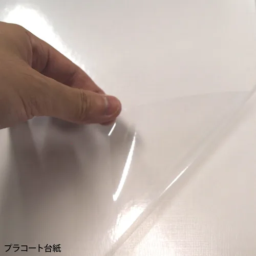 Vista 3 de Nakabayashi Fueruarubamu L talla sum A-LW-304-2 (importación de Japón)