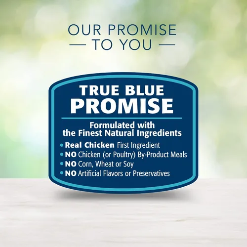 Vista 5 de Blue Buffalo Freedom Grain Free - Alimento húmedo natural en paté para adultos, pollo de interior, latas de 12.5 onzas (paquete de 12)
