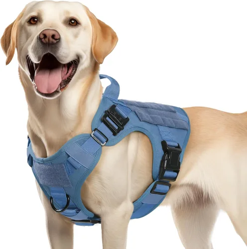 Vista 23 de rabbitgoo - Arnés táctico para perros pequeños, arnés resistente para mascotas con asa, chaleco de servicio sin tirones para razas pequeñas, chaleco