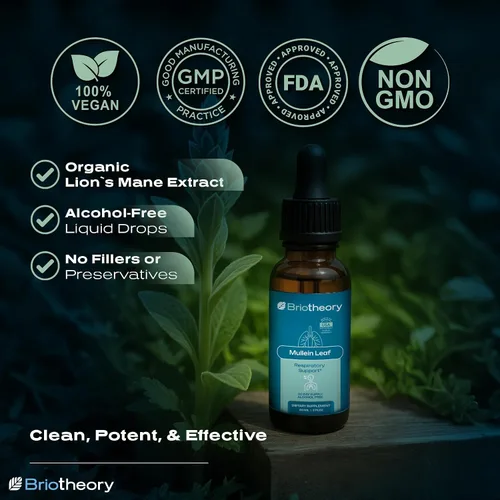 Vista 3 de Extracto de hoja de gordolobo, gotas líquidas de rápida absorción para pulmones, suplemento de hierbas de apoyo respiratorio natural, sin alcohol