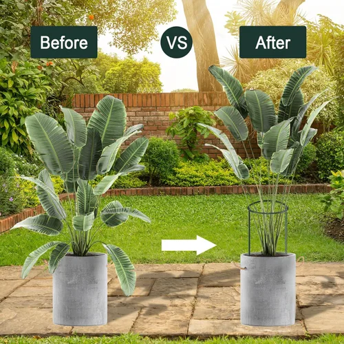 Vista 4 de Paquete de 12 estacas de soporte para plantas, jaulas y soportes de peonías de metal, jaula de peonía, anillo de soporte para plantas, soporte