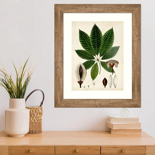 Vista 5 de Amanti Art Vision Studio - Lienzo decorativo para pared, 24 x 20 pulgadas, follaje verde VII por Vision Studio, arte de pared de naturaleza