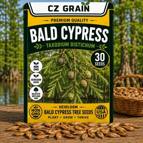 Vista 56 de CZ Grain Semillas para plantar, 40 pequeñas mezclas de calabaza