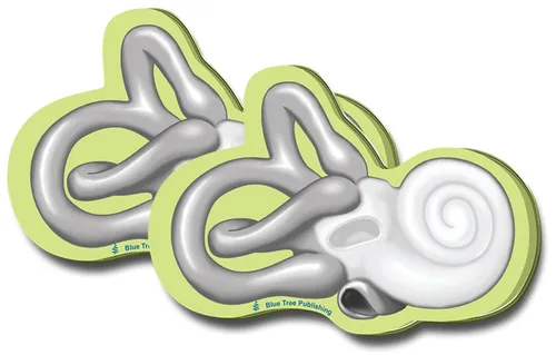 Vista 33 de Notas Adhesivas de Anatomía
