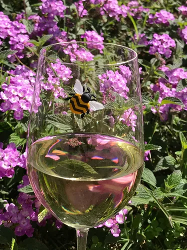 Vista 7 de Simply Charmed Dijes magnéticos para copa de vino con abeja, fresa y flores, juego de 6 divertidos marcadores de bebidas o identificadores