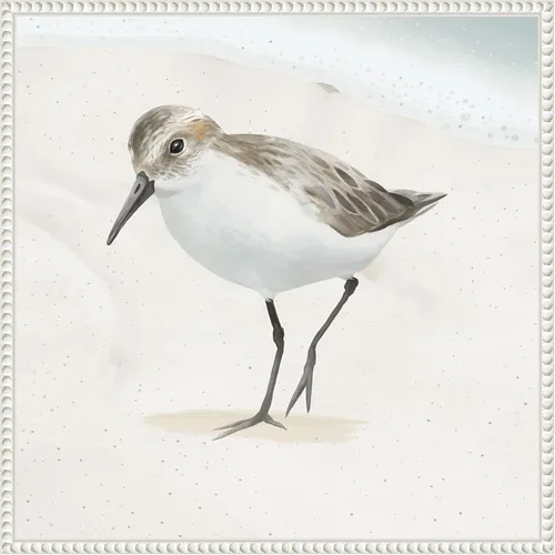 Vista 12 de Amanti Art Framed Canvas Wall Art 16x16 Sandpiper on the Beach II by Lucca Sheppard, Framed Wall Art Canvas, Animals Artwork, Modern Decor, Small