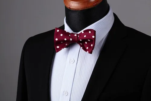 Vista 123 de HISDERN Pajaritas para hombre, diseño de lunares, corbatín y bolsillo cuadrado, clásico, esmoquin de negocios, boda, pajaritas, pañuelo