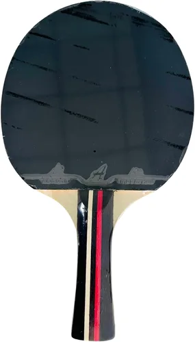Vista 2 de Raqueta de tenis de mesa de 4 estrellas, paleta de ping pong con goma en ambos lados para principiantes y uso recreativo, bate ligero para niños