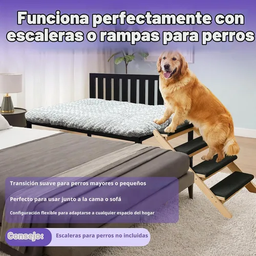 Vista 6 de Beside - Cama para perro, literas para perros de altura ajustable, marco de cama de metal para perros de 47 x 31 pulgadas, con cojín, XL