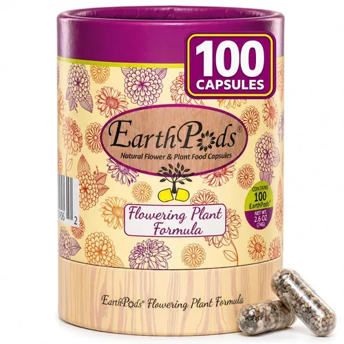 Vista 11 de Premium Alimento para plantas – Estacas de fertilizantes orgánicos – 100 unidades Slow release plant food sticks for blooming African violets