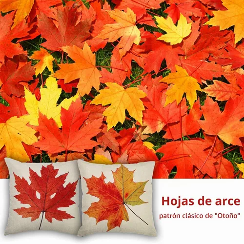 Vista 2 de Coitak Fundas de almohada de otoño, fundas de almohada de hojas de arce, fundas de almohada decorativas de otoño de 18 pulgadas, paquete de 2 fundas