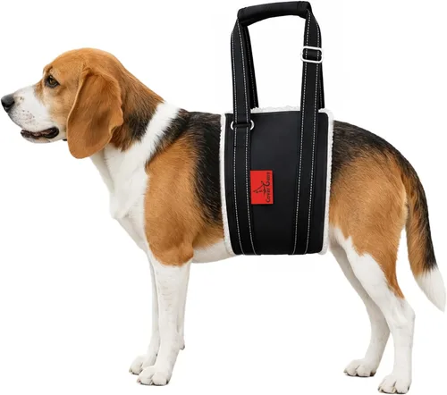 Vista 11 de Arnés de elevación para perros – Arnés ajustable para patas traseras con soporte suave para perros mayores, lesionados y discapacitados después