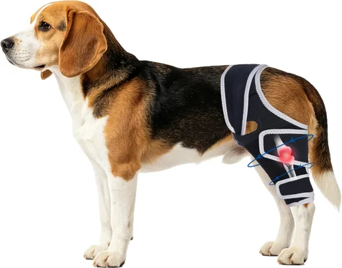 Vista 14 de Dog Knee Brace for Torn Acl Hind Leg, Relieves Ligament Injury and Joint Pain, Adjustable Leg Support Bracket for Warmth and Support, Universal Dog
