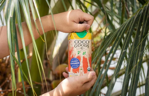 Vista 4 de CocoGoods Co. Crema de café de coco orgánico de origen único, vainilla francesa endulzada, 16.9 onzas líquidas, paquete de 12, Tetra Pak
