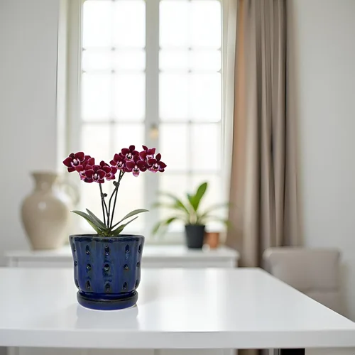 Vista 5 de Ceramic Orchid Pots with Holes 5'' Orchid Planter Set of 2 Azul oscuro