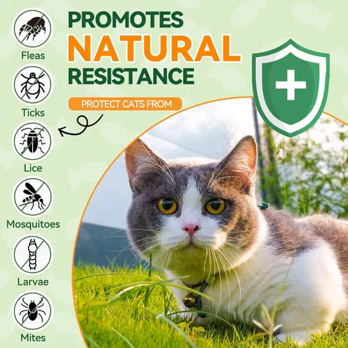 Vista 4 de Combo de pulgas masticables para gatos y perros, 200 masticables cada uno, prevención natural de pulgas y garrapatas para gatos y perros