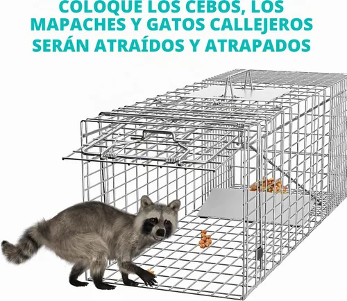 Vista 9 de Trampa para jaula de animales vivos, trampas plegables de mapache de 32 x Plateado