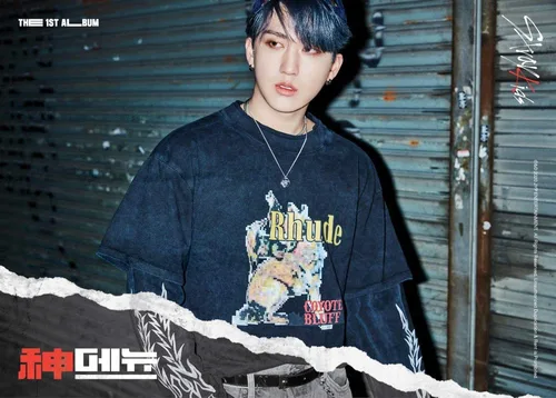 Vista 5 de Stray Kids 'Go' 1er álbum versión aleatoria 80p PhotoBook+2p PhotoCard+8p Folleto lírico+4 películas cortadas+tarjeta secreta+seguimiento Kpop
