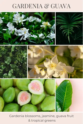 Vista 2 de Eco Candle Co. Vela Reciclada, Gardenia y Guayaba, 6 oz. – Aromas de Gardenia, Jazmín, Guayaba y Verdes Tropicales – 100% Cera de Soja, Sin Plomo