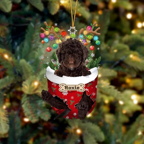 Vista 53 de LOVELYPOD Adorno Personalizado de Perro Affenpinscher, Adornos de Navidad Affenpinscher Regalo para Amante de Perros, Adorno de Navidad Colgante
