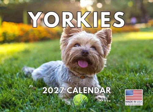Vista 96 de Calendario mensual de pared Airedale Terrier Dog 2027