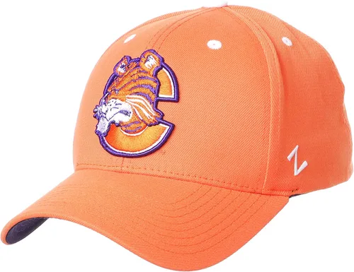 Vista 20 de ZHATS NCAA Vault - Sombrero elástico ajustado para hombre
