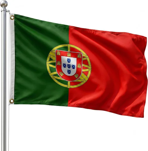 Vista 82 de DMSE - Bandera nacional beninesa beninesa de la República de África Occidental, 2 x 3 pies, 100 % poliéster, 100 % poliéster, resistente a los rayos