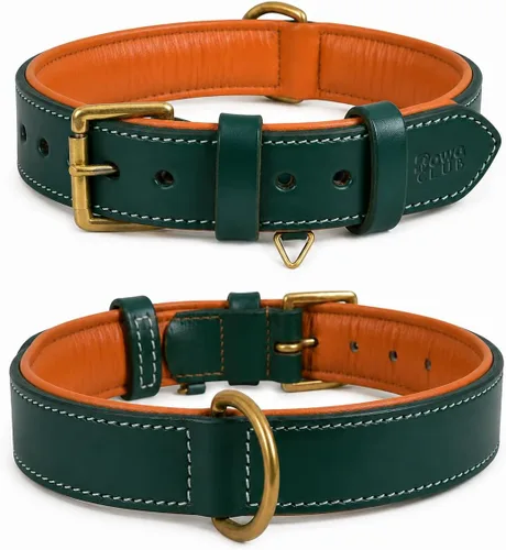 Vista 17 de DowgClub Collar de perro de cuero genuino, negro, pequeño, acolchado