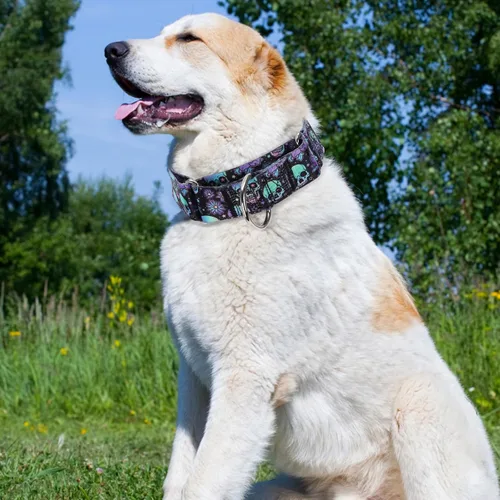 Vista 7 de Collar Martingale para Perro de 1.5 Pulgadas de Ancho - Diseño de Calavera Extra Resistente para Perros Grandes, Collar de Entrenamiento Ajustable