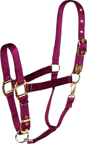 Vista 6 de Hamilton, Halter de 1 pulgada con barbilla ajustable, azul baya, 800-1100 libras