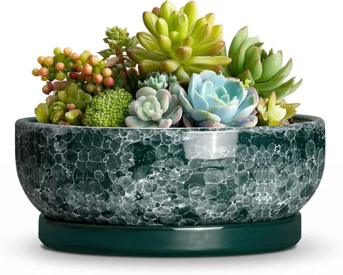 Vista 39 de Succulent Pots, 6 Inch Ceramic Bonsai Pots with Saucer, Blue