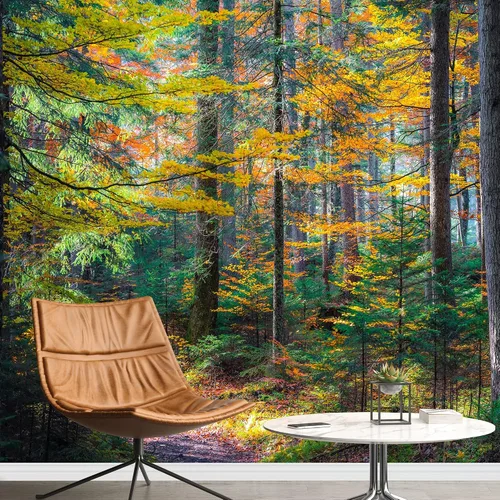 Vista 18 de Papel tapiz Signford para pared, desprendible, diseño de bosque, para dormitorio y sala de estar