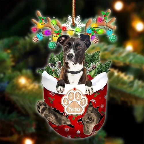 Vista 125 de NAZENTI Adorno Navideño de Bolsillo Personalizado de Affenpinscher en la Nieve, Adorno de Forma Acrílica de Perro, Adorno de Navidad 2023, Adorno