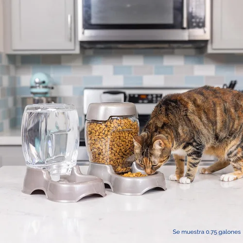 Vista 7 de Petmate Pet Cafe Dispensador de agua por gravedad para gatos y perros, cuenco de agua para gatos y perros, fabricado en Estados Unidos, 0.75 AZUL