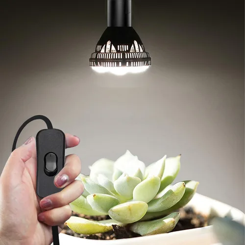 Vista 5 de Cable de luz colgante colgante - Enchufe de bombilla con cable E26/E27 enchufe de luz, cable de linterna colgante de extensión con interruptor