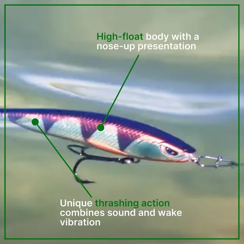 Vista 3 de Topwater Minnow