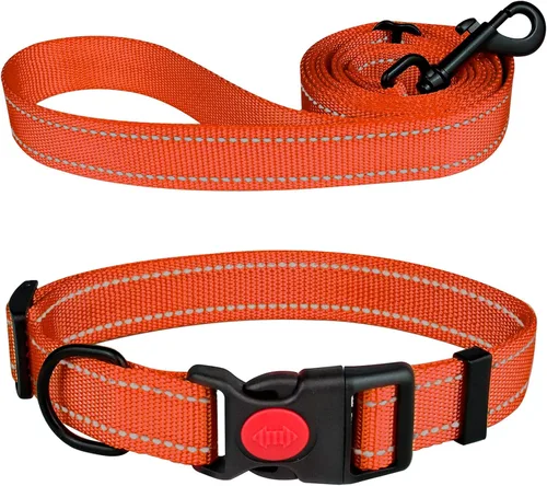 Vista 19 de Juego de collar y correa reflectante para perro con hebilla de bloqueo de seguridad, collares de nailon para mascotas ajustables para perros Negro