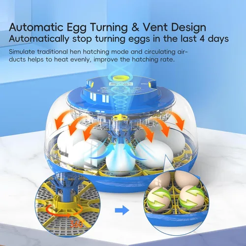 Vista 3 de Incubadoras para incubar huevos Incubadora automática de huevos con control de temperatura y pantalla de humedad de 12, 18, 48 huevos para pollo
