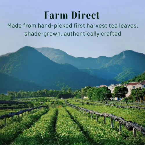Vista 7 de CHAYEAH, Emerald Select Matcha, grado ceremonial orgánico, lata de 1.06 onzas Elevated First Harvest Ceremonial Matcha, USDA Organic, Crafted for