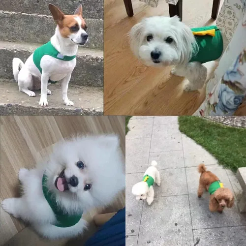 Vista 4 de Juego de arnés y correa para perro con forma de dinosaurio, arnés de chaleco verde con cuerda para caminar, chaleco cómodo sin tirones para mascotas