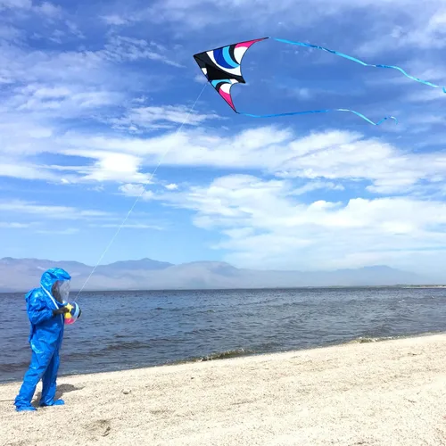 Vista 2 de Delta Kite para niños y adultos, fácil de volar, cometa de playa grande de una sola línea con mango de cuerda de 300 pies incluido, perfecta