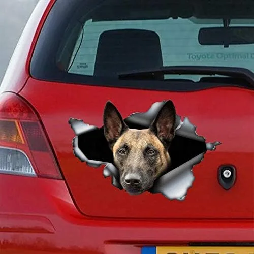 Vista 2 de Calcomanía de Malinois belga, calcomanía de Malinois, calcomanía de vinilo de perro pastor belga para automóviles, ventanas, paredes, nevera