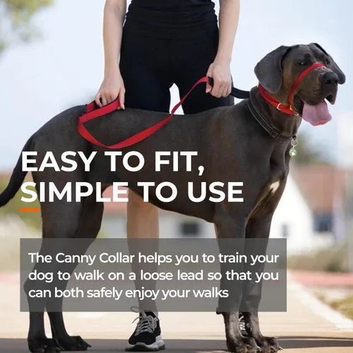 Vista 6 de Canny Gentle - Collar de cabeza de entrenamiento para perros sin tirones, color negro, talla 4 Kind, safe, comfortable & gentle, trains your dog