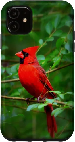 Vista 8 de Hermosa cardenal pájaro rojo escena de la naturaleza caso para iPhone 17